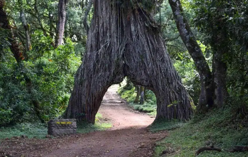 Arusha National Park