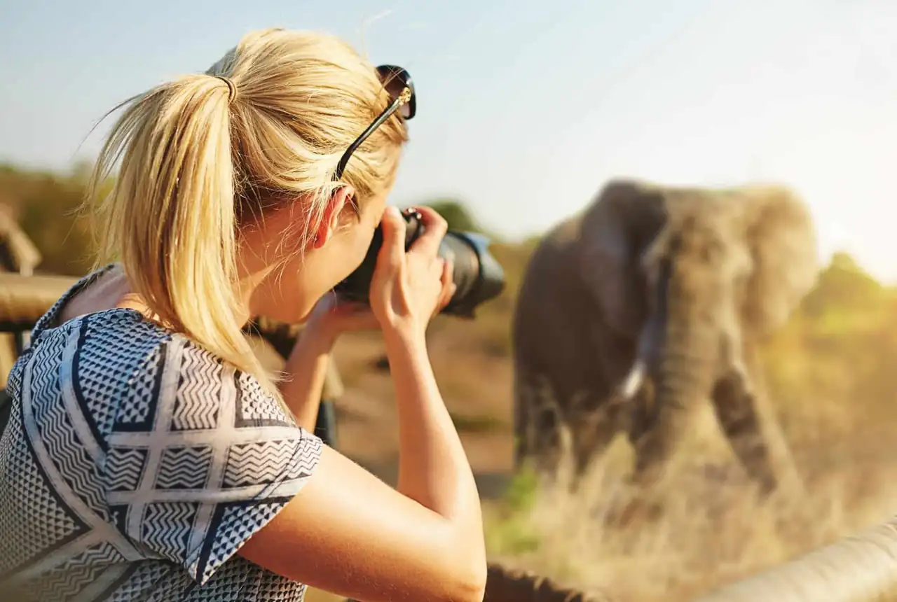 Photographic Safaris