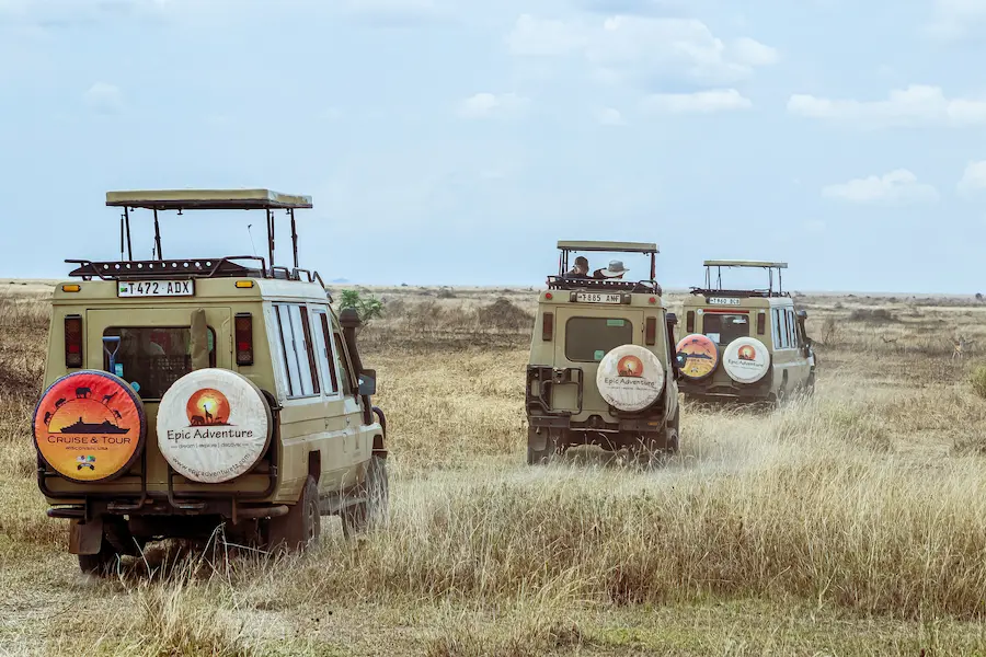 Epic Adventure guests on safari