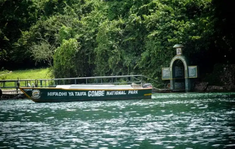 Gombe photo 6