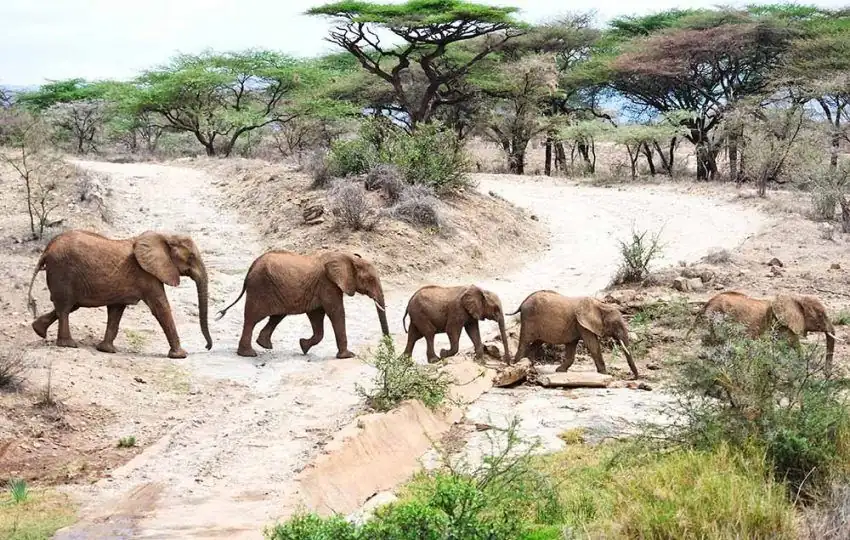 Katavi National Park