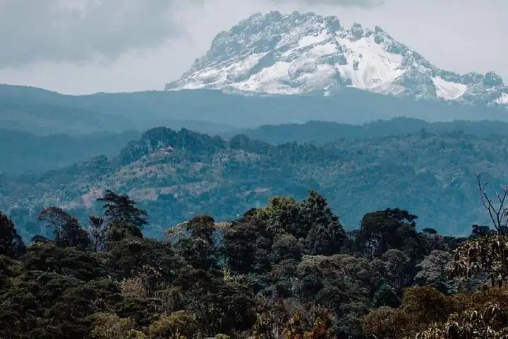 Kilimanjaro