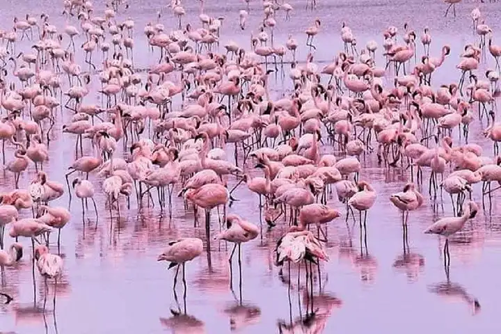Lake Manyara