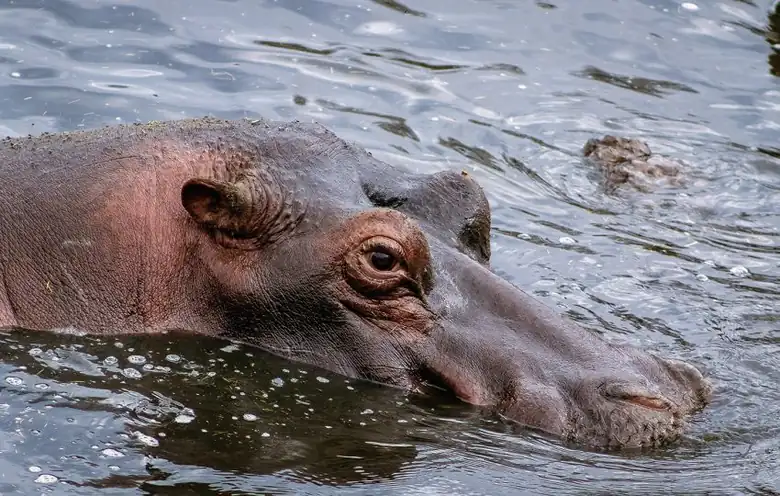 Lake Manyara