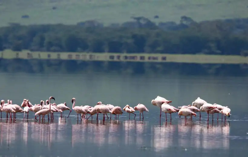 Lake Manyara National Park