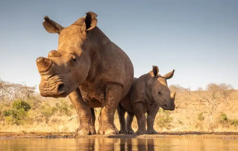 Mkomazi