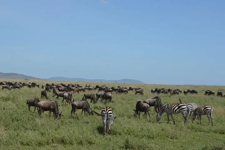 Ngorongoro photo 9