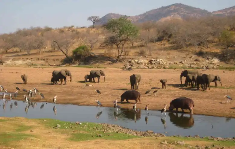 Ruaha