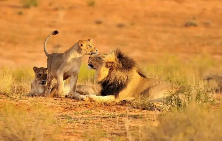 Ruaha photo 5