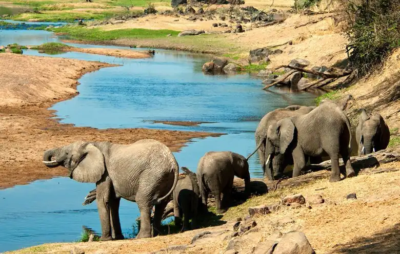 Ruaha