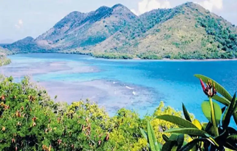 Saanane Island