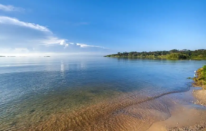 Saanane Island