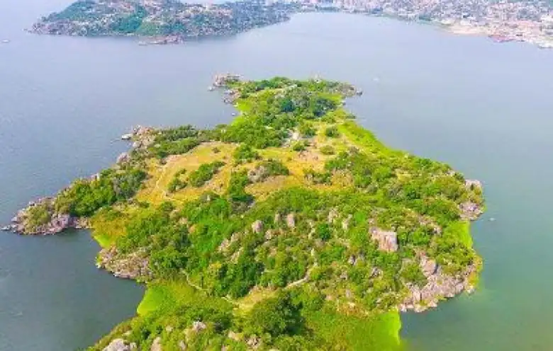 Saanane Island