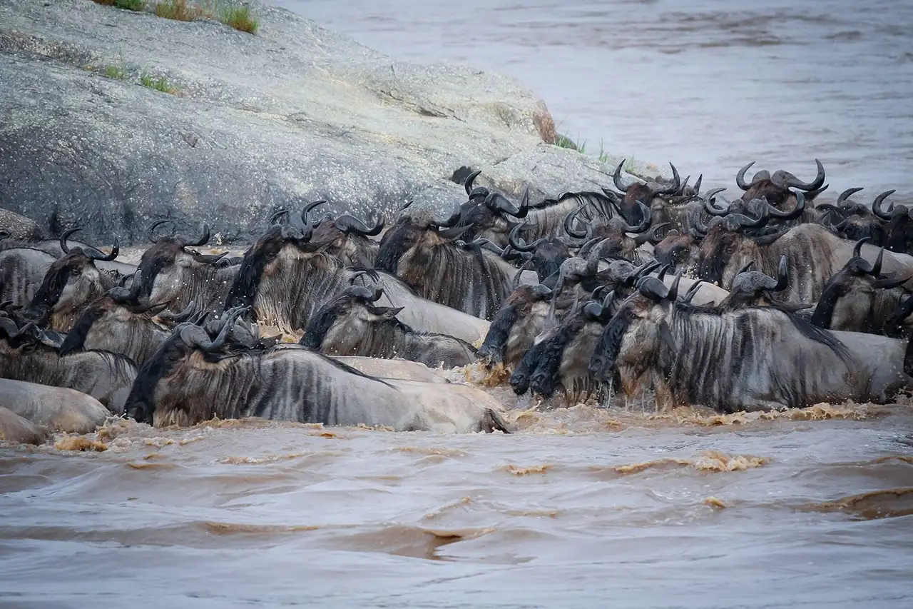 Serengeti National Park
