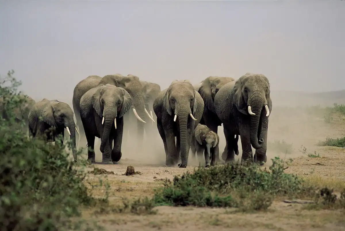 Tarangire National Park