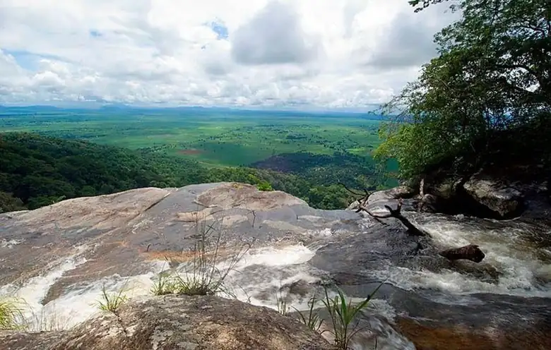 Udzungwa