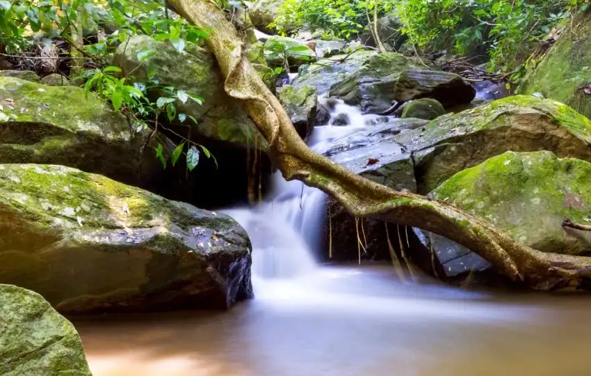 Udzungwa Mountains National Park
